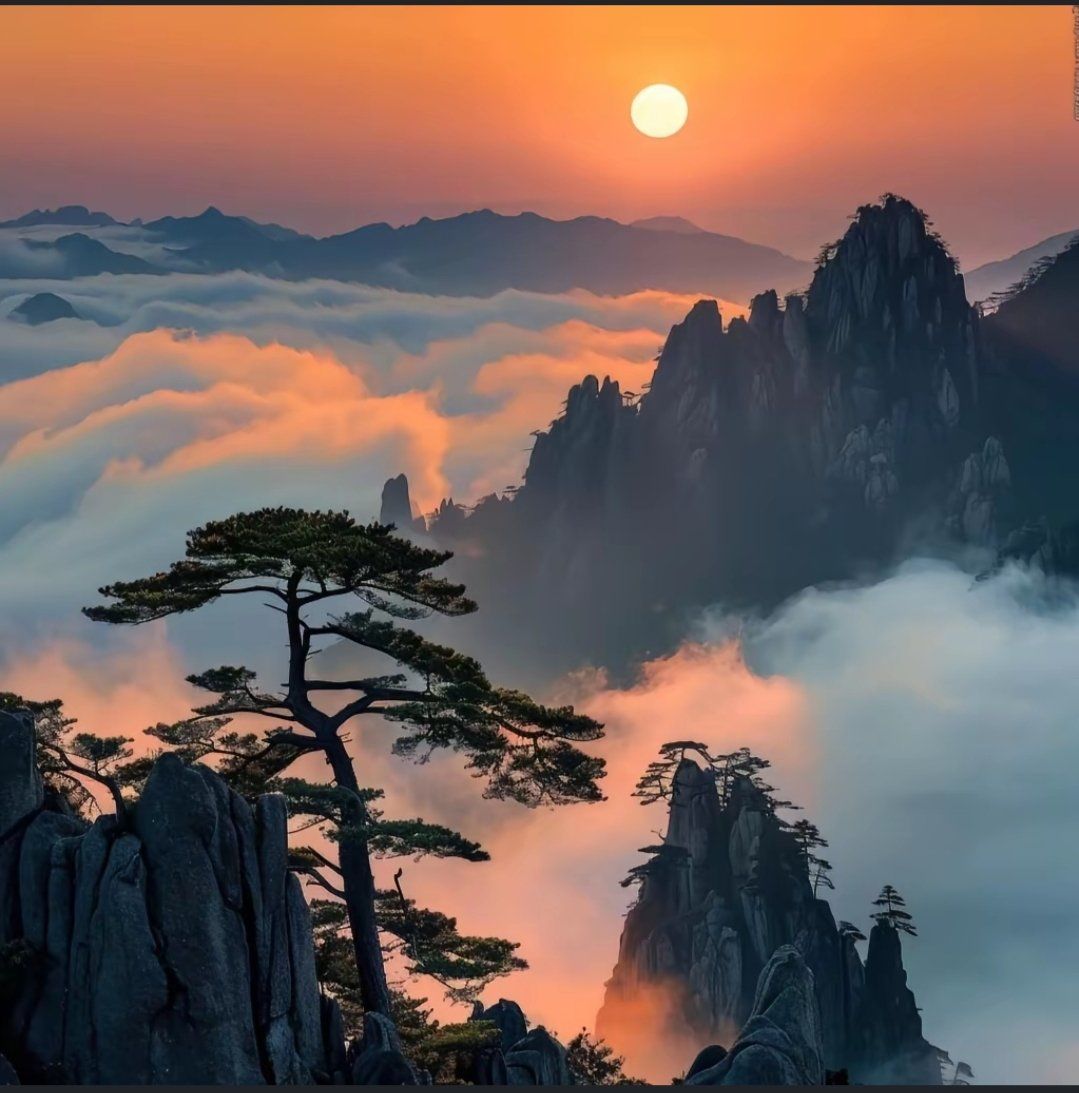 三亿体育